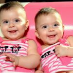 非認知能力の遺伝